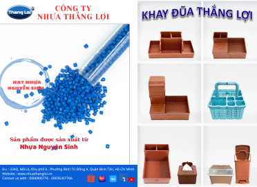 Sản Phẩm Thắng Lợi Có Gì Nổi Bật ?