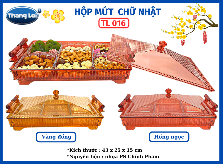 HỘP MỨT CHỮ NHẬT TL 016